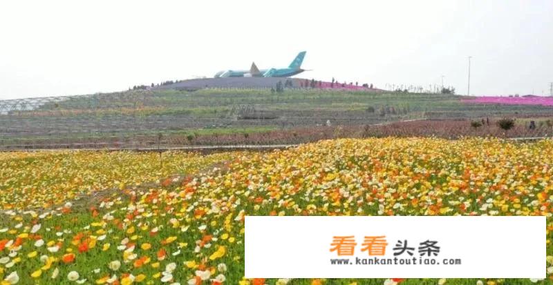 平阴有什么好玩的地方？哪些景点必去？