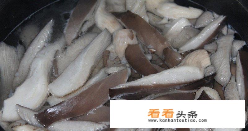 平菇的十种最佳吃法？