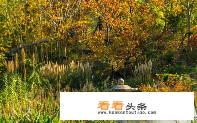 12月份适合游玩的海边城市？