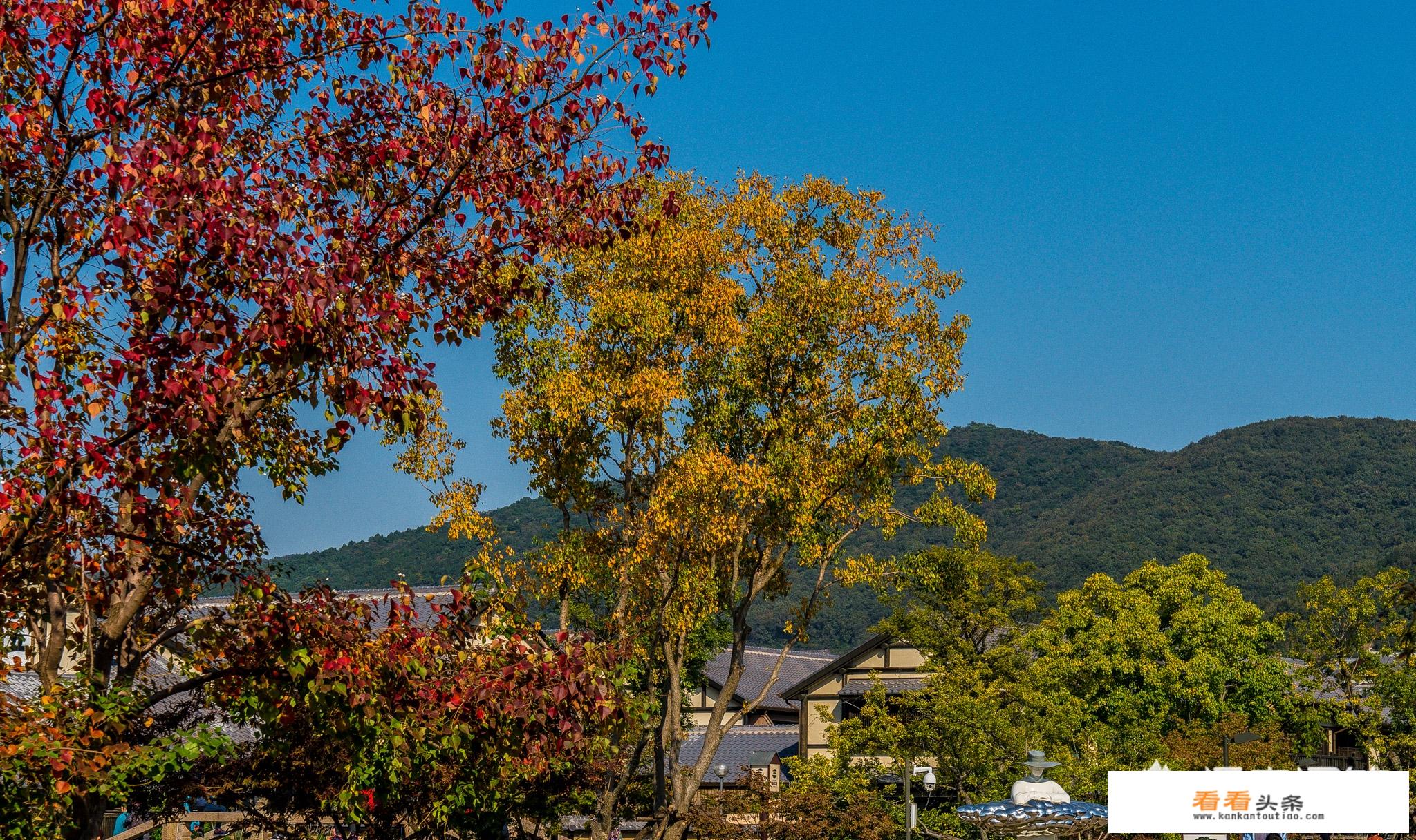 12月份适合游玩的海边城市？