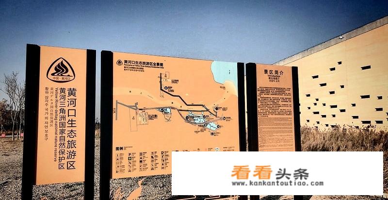 东营有什么好玩的景点？