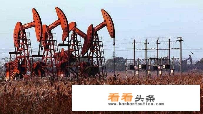 东营有什么好玩的景点？