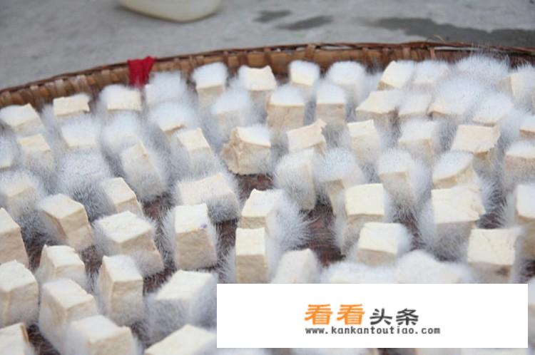 东北毛豆腐制作方法？