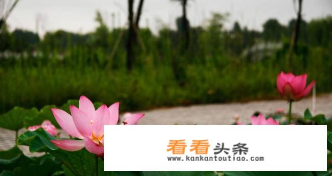 离萍乡近的旅游景点？