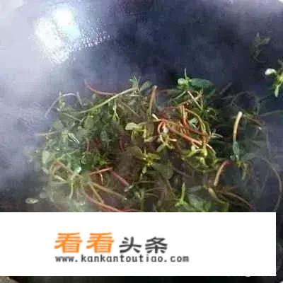 你吃过野菜么？马齿苋吃过吗？怎么做的？