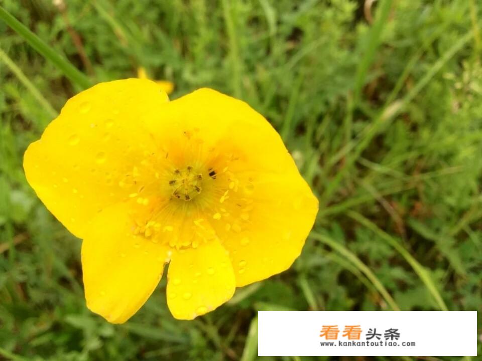 天津女排12月5日有比赛吗？
