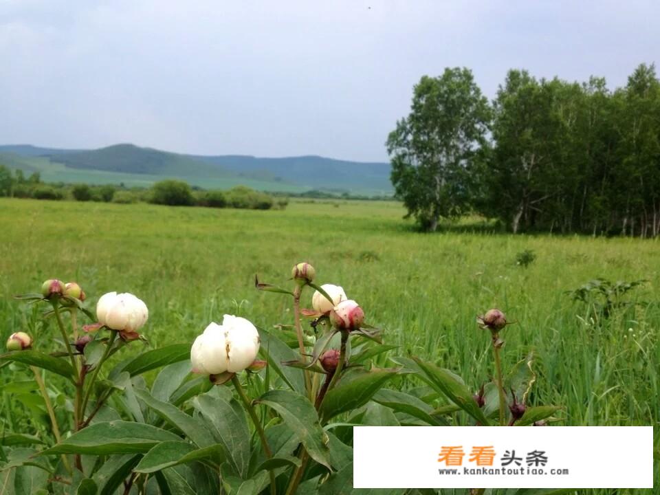 天津女排12月5日有比赛吗？