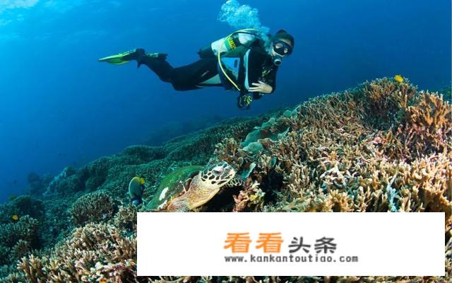 每年只与世界相遇150天的斯米兰岛，你能拒绝吗？