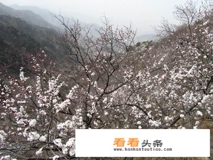 去北京的机票，一年之中什么时候票价优惠比较大？