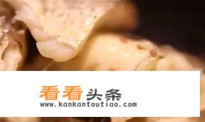 30斤龙趸鱼什么价？
