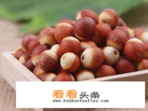 补气补血的食物有哪些？