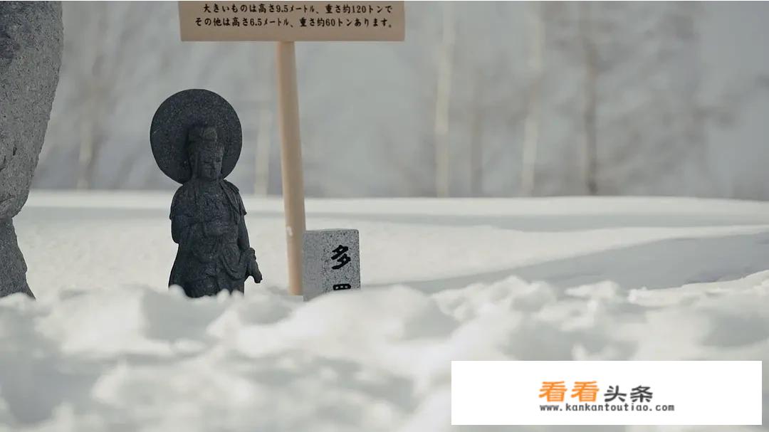 好听的旅游栏目名有哪些？