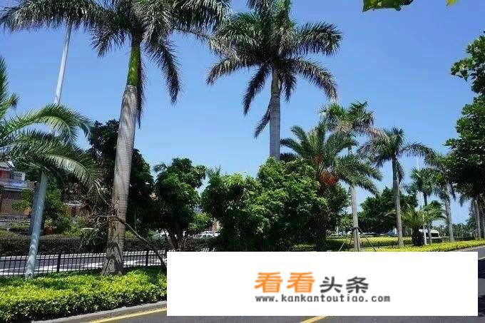 12月初去厦门旅游穿什么衣服合适？
