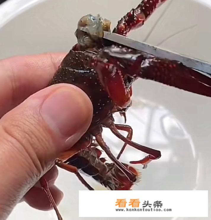 大龙虾的清洗处理方法？