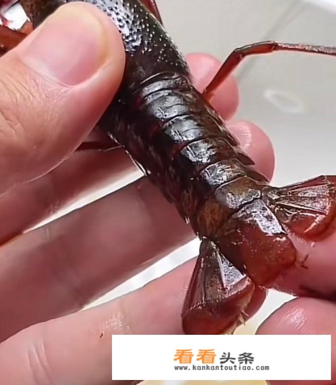 大龙虾的清洗处理方法？