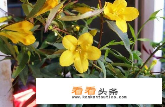 正品法国香氛品牌有哪些？