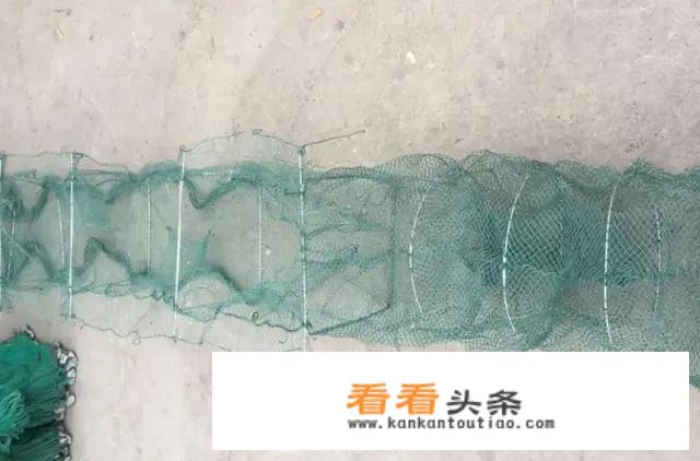 鱼笼里放什么诱饵最好？