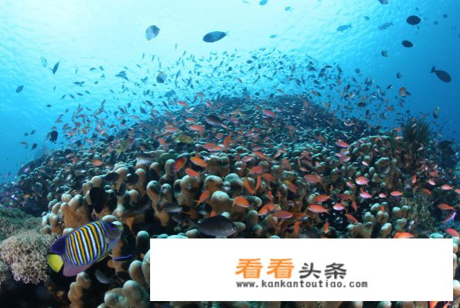 确定住宿马布岛。卡帕莱。敦沙，诗巴丹，马达京，哪个最美合值得一去？