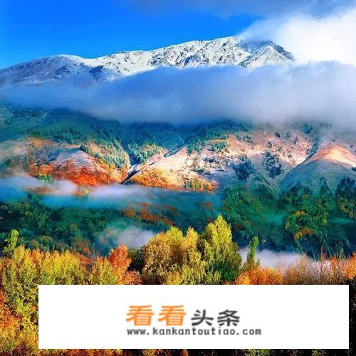 7月北疆旅游必备物品？