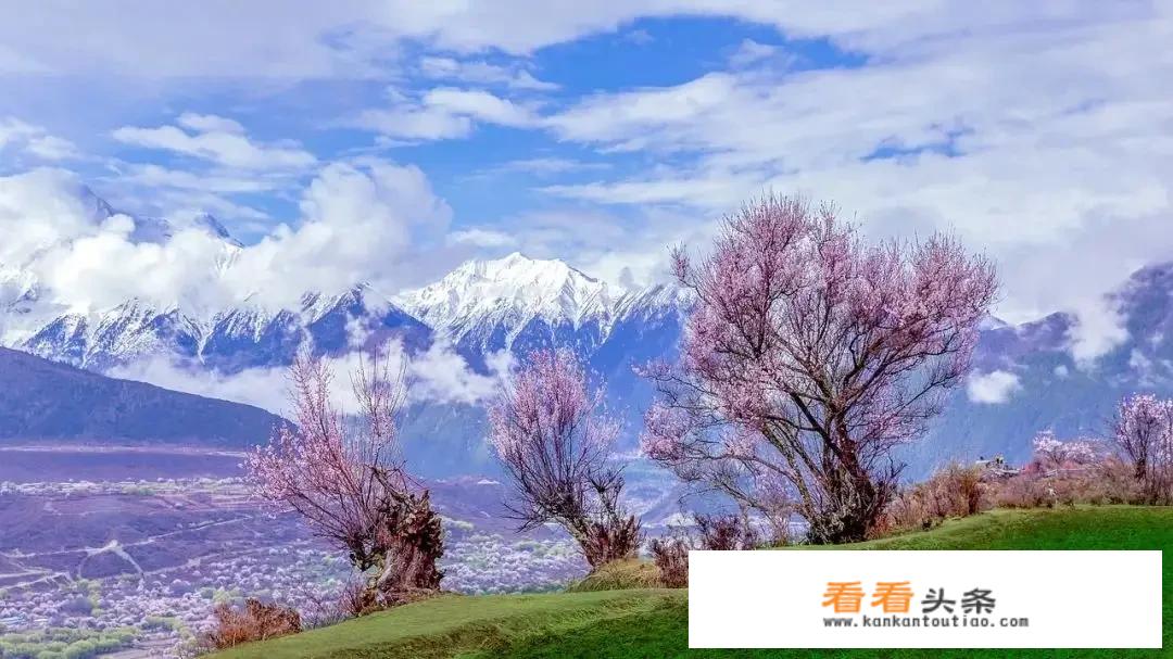 自由行旅行最好的方式？