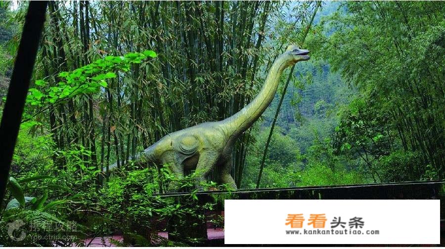 从乐山自驾到贵州，预计游玩9天时间，应该怎样安排行程？