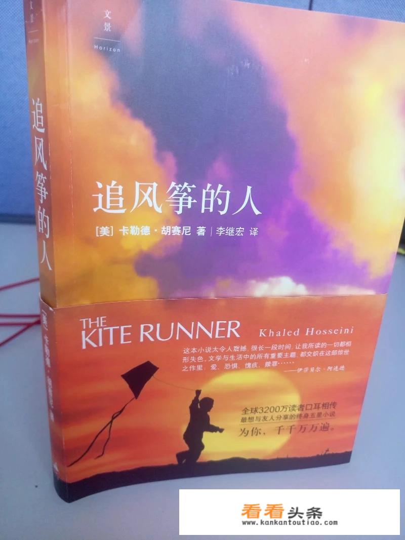 有没有人看过《追风筝的人》？此书表达的意义是什么？
