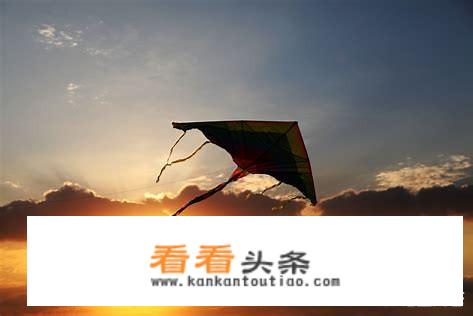有没有人看过《追风筝的人》？此书表达的意义是什么？