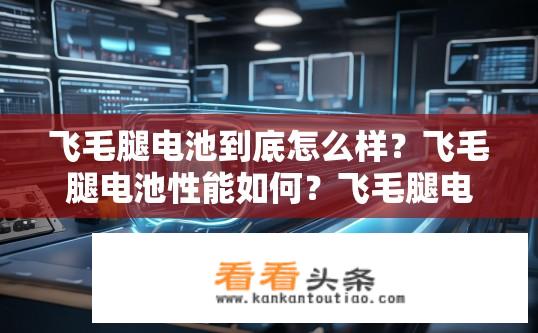 飞毛腿电池到底怎么样？飞毛腿电池性能如何？飞毛腿电池实力如何？