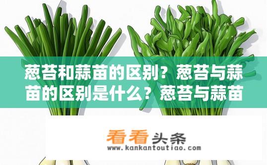 葱苔和蒜苗的区别？葱苔与蒜苗的区别是什么？葱苔与蒜苗的区别的详细说明