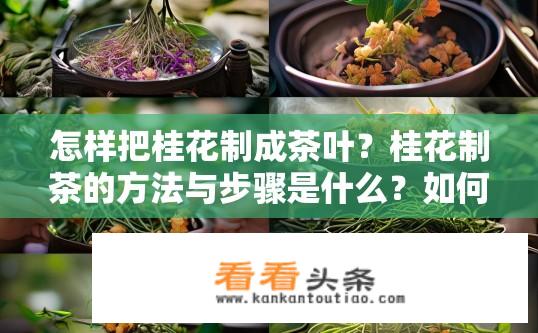 怎样把桂花制成茶叶？桂花制茶的方法与步骤是什么？如何制作桂花茶？