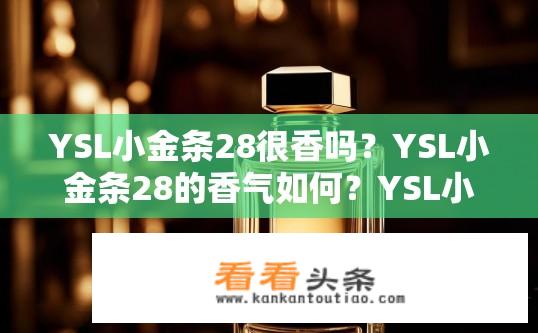 YSL小金条28很香吗？YSL小金条28的香气如何？YSL小金条28的香水香气是怎样的?