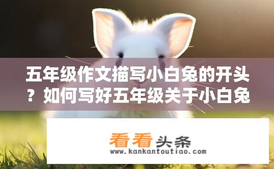 五年级作文描写小白兔的开头？如何写好五年级关于小白兔的开头描述？如何以简短、生动的语言描绘五年级小兔子的开头，呈现其活泼可爱的形象及独特的性格特点呢？