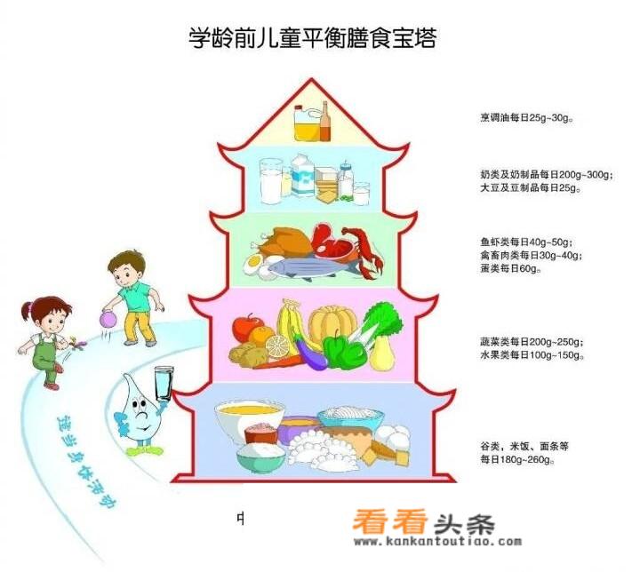 两岁五个月的宝宝一天吃几顿饭？