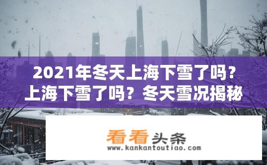 2021年冬天上海下雪了吗？上海下雪了吗？冬天雪况揭秘，2021年上海下雪了吗？雪况如何？