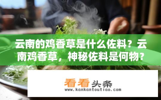云南的鸡香草是什么佐料？云南鸡香草，神秘佐料是何物？云南鸡香草有什么特殊的用途或功效？