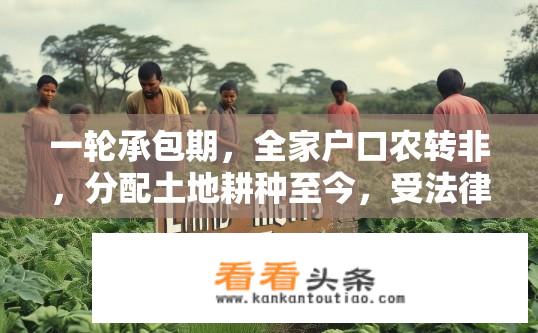 一轮承包期，全家户口农转非，分配土地耕种至今，受法律保护吗？农转非户口下分配土地耕种权益的法律保障问题？农转非土地权益归属与法律保护，承包合同与户主身份如何决定使用权?