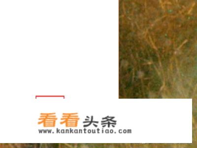 怎么给电脑设置闹钟？