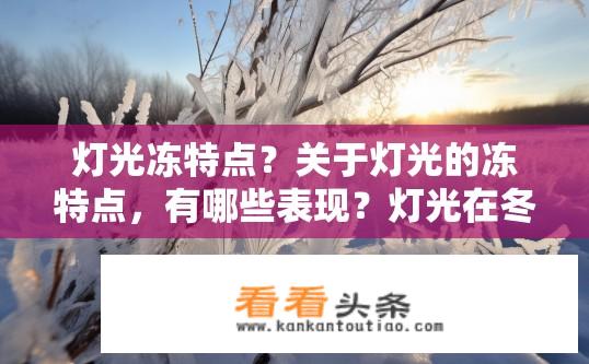 灯光冻特点？关于灯光的冻特点，有哪些表现？灯光在冬季为什么会冻结？