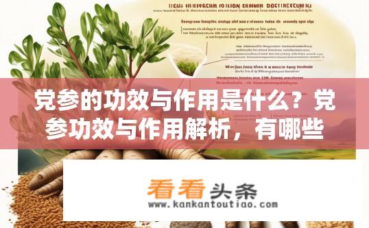 党参的功效与作用是什么？党参功效与作用解析，有哪些神奇效果？党参的功效与作用深度解析，功效作用何在，哪些神奇效果具备？