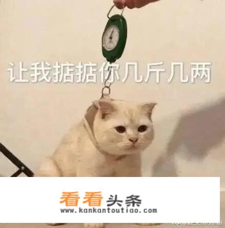 彩虹堂古装手游怎么设计衣服？