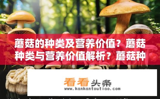 蘑菇的种类及营养价值？蘑菇种类与营养价值解析？蘑菇种类大全与营养价值分析?