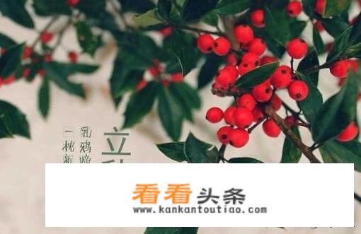 立秋的风俗有哪些？