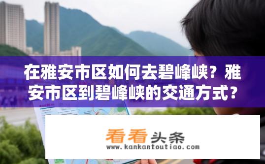 在雅安市区如何去碧峰峡？雅安市区到碧峰峡的交通方式？雅安市区去碧峰峡公交、自驾哪种方式更便捷？
