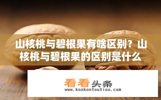 山核桃与碧根果有啥区别？山核桃与碧根果的区别是什么？山核桃与碧根果有哪些不同之处?