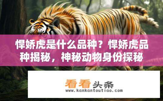 悍娇虎是什么品种？悍娇虎品种揭秘，神秘动物身份探秘，悍娇虎是哪种品种？悍娇虎种类详细解密，独特猛兽身世大揭秘