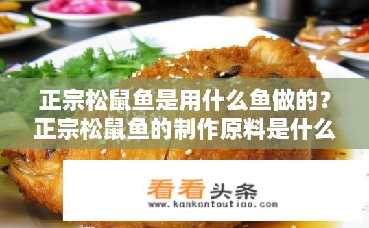 正宗松鼠鱼是用什么鱼做的？正宗松鼠鱼的制作原料是什么鱼？正宗松鼠鱼使用的鱼种是哪一种？松鼠鱼的主要食材有哪些？