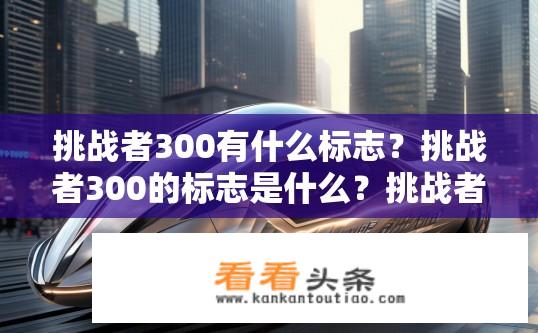 挑战者300有什么标志？挑战者300的标志是什么？挑战者300的身份标识和标志是什么？