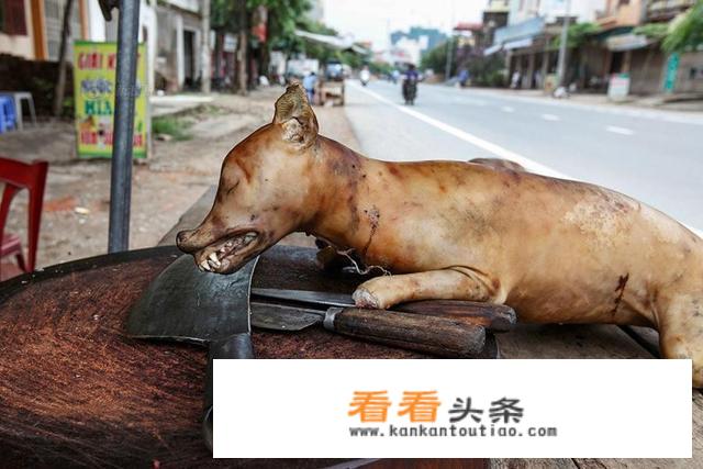 狗肉汤的简单做法？