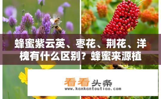 蜂蜜紫云英、枣花、荆花、洋槐有什么区别？蜂蜜来源植物的种类区别，紫云英、枣花、荆花与洋槐有何不同？蜂蜜来源植物种类的区别，蜂蜜主要来源于蜜蜂采集植物蜜源分泌的糖分和水分。紫云英、枣花、荆花为草本植物，洋槐则为灌木或乔木。这些植物含有不同的花粉，蜜蜂在采蜜过程中携带并吸收其中的花粉，经过一系列复杂的化学反应后转化为蜂蜜。