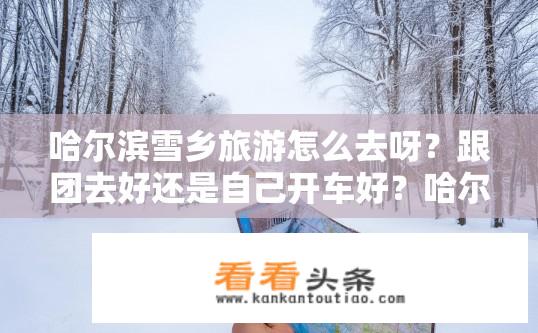 哈尔滨雪乡旅游怎么去呀？跟团去好还是自己开车好？哈尔滨雪乡旅游出行方式选择，跟团还是自驾？哈尔滨雪乡跟团游、自驾游推荐，哪种方式更经济实惠？